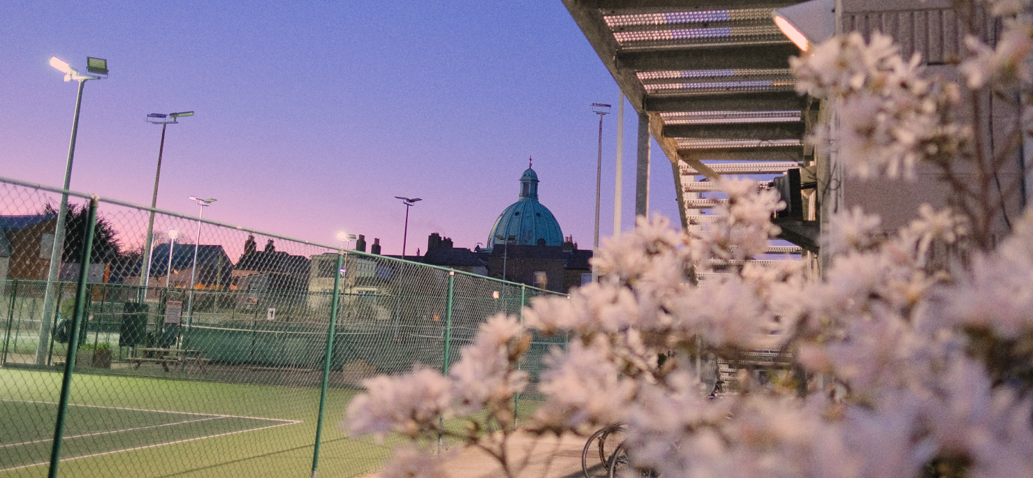 A photo of the buntings